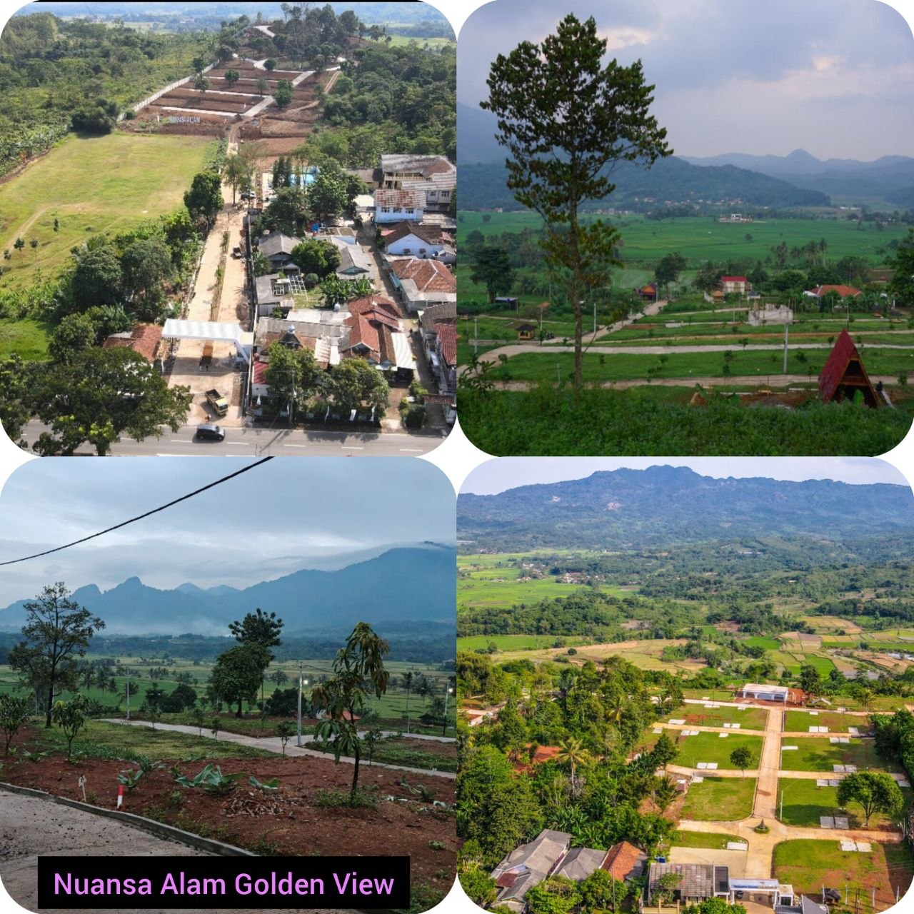 Rekam Jejak Project THE HANAMI RIVERA